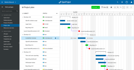 Project Management